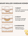 Golden eyes - Collageen oogmaskers - VelveuxNL - 8720256752028 - Vegan en Natuurlijke skincare routine's