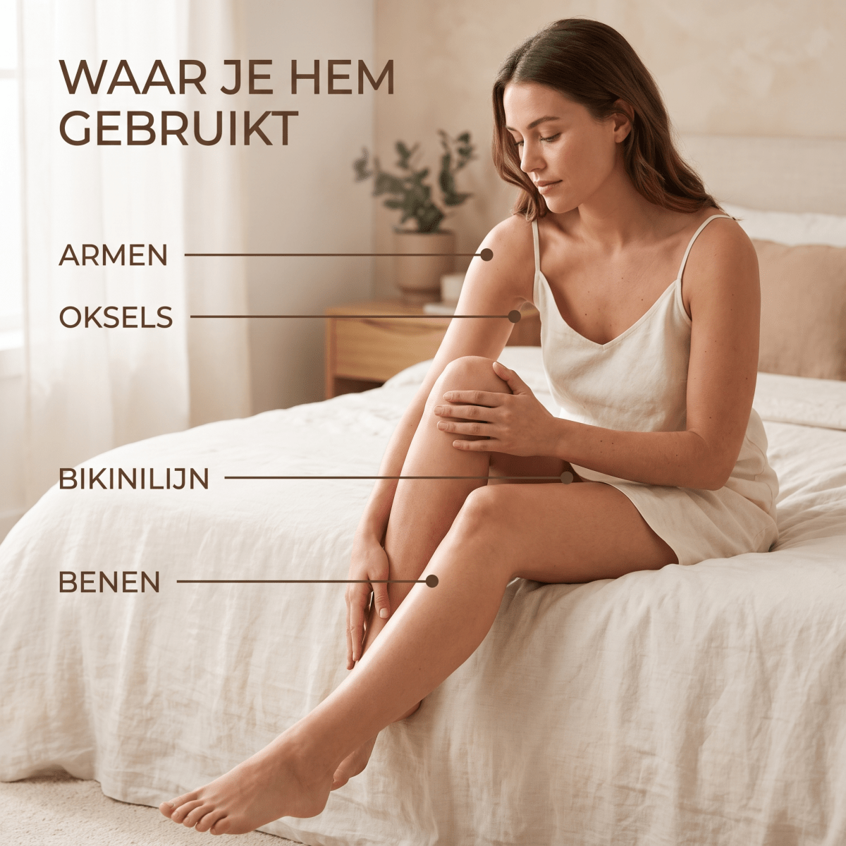 Velveux Cyperus Rotundus Olie - VelveuxNL -  - Vegan en Natuurlijke skincare routine's